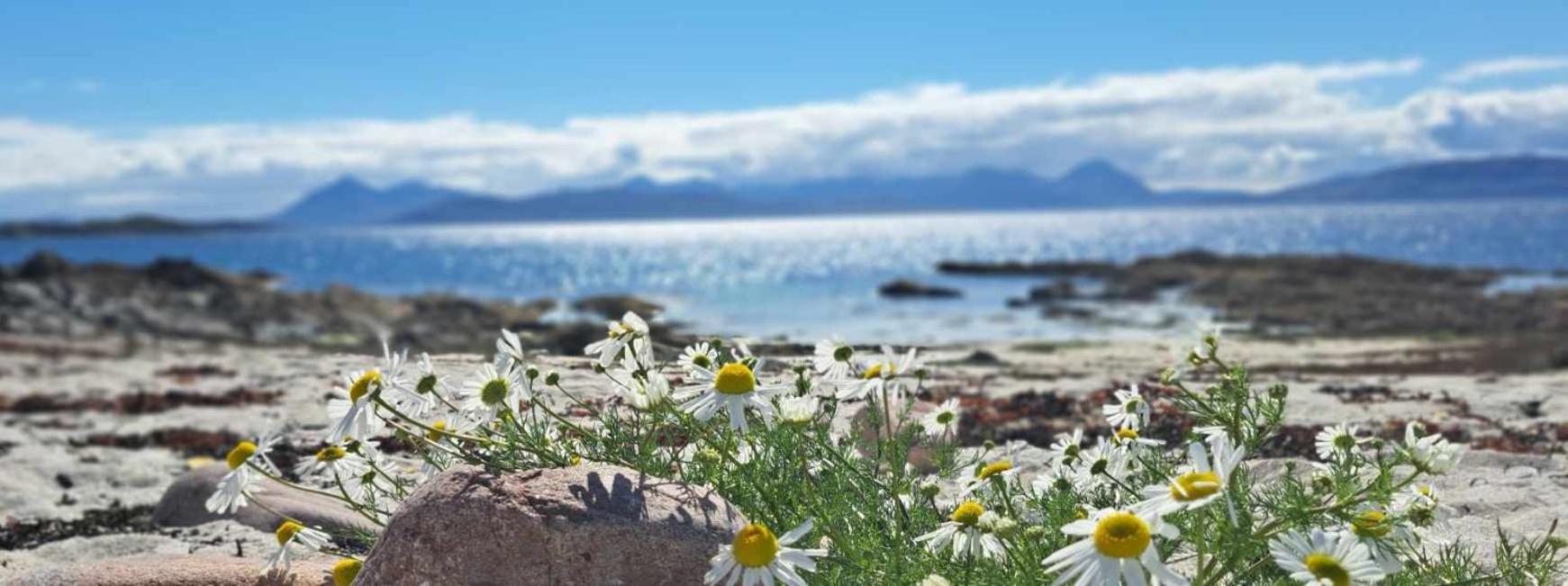 Applecross B&B Екстериор снимка